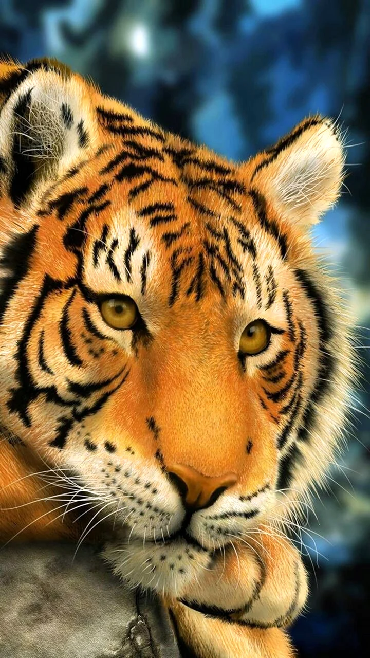 Тигр Зедге