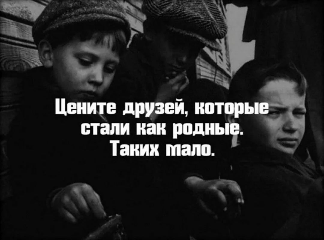 Приятель своего приятеля просил. Настоящая Дружба. Цените друзей. Брат. Цитаты про друзей.