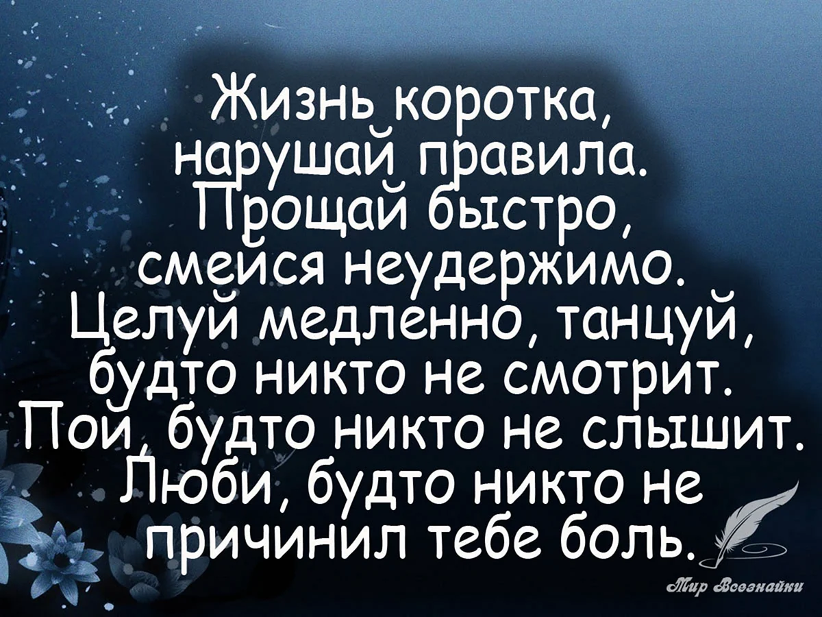 Жизнь стихи цитаты. Цитаты про жизнь. Цитаты про жизнь короткие. Красивые жизненные цитаты. Афоризмы про жизнь короткие.