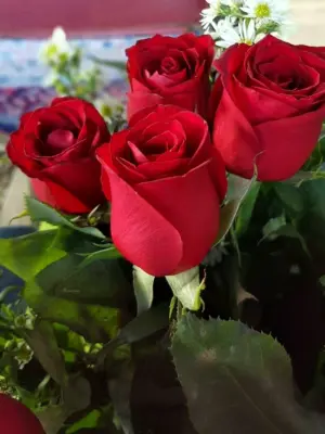 Цветы для любимой женщины