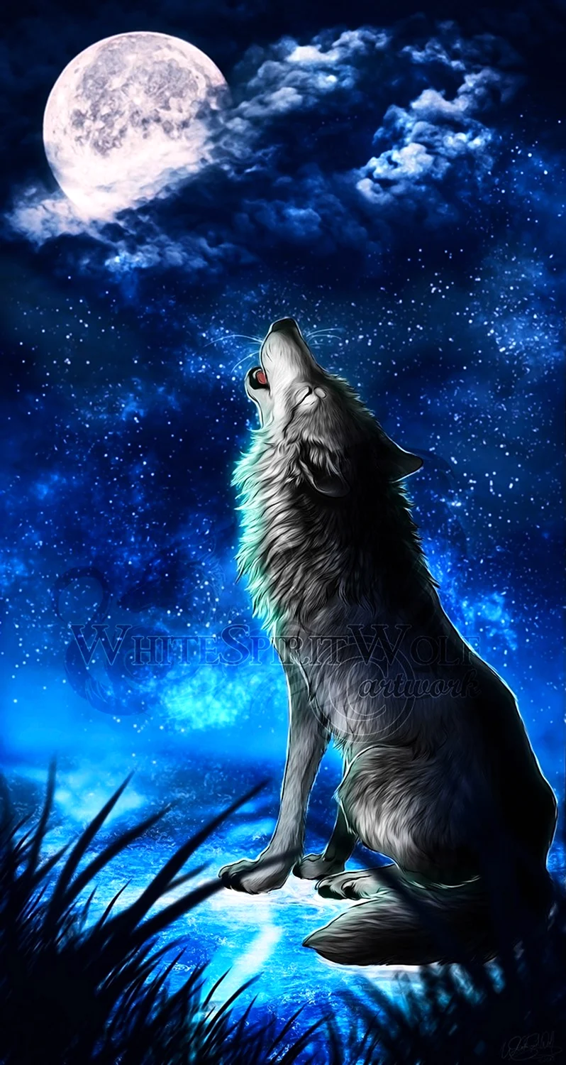 Волк воет на луну