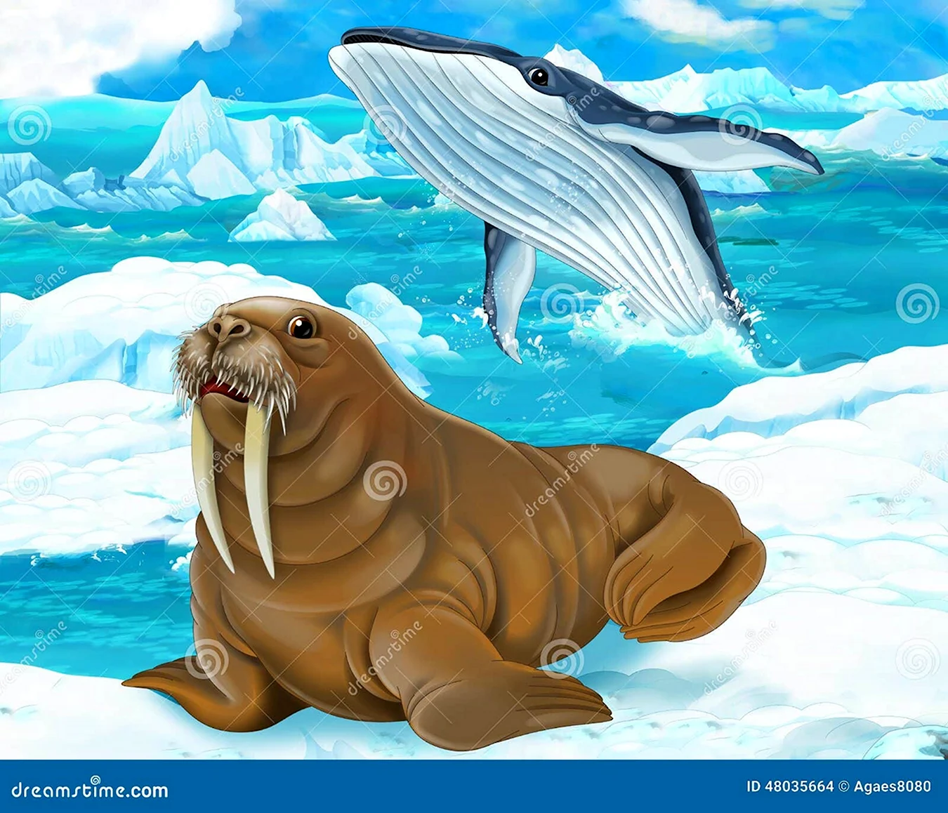Животные севера морж для дошкольников