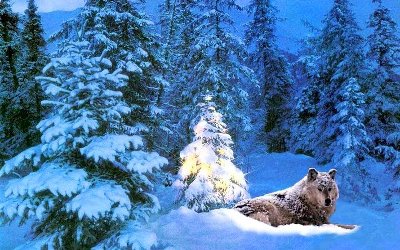 Животные в зимнем лесу