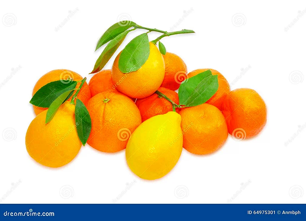 День апельсина и лимона 31 марта