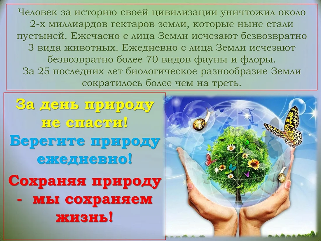 Защита природы. День Всемирный день окружающей среды. Всемирный день защиты природы. Всемирный день охраны окружающей среды.