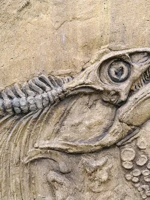 Грин Ривер крокодил окаменелость