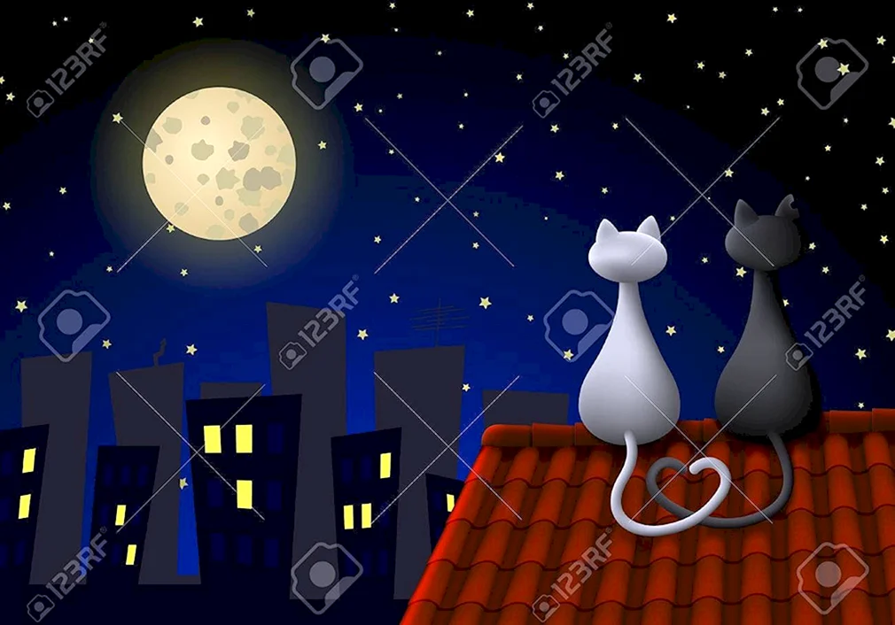 Картина коты на крыше ночью