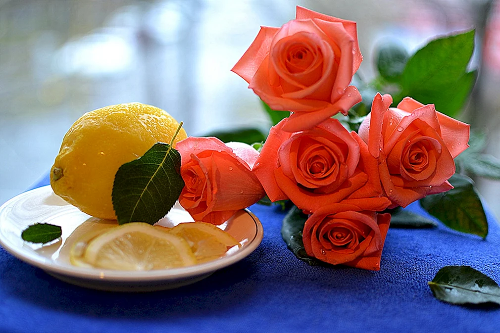 Лимонные розы