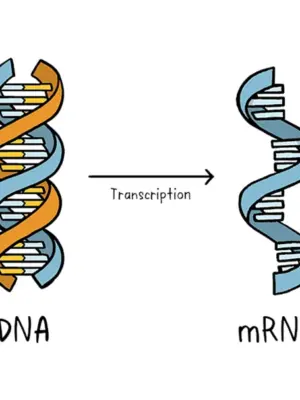 Вакцины на основе матричной РНК