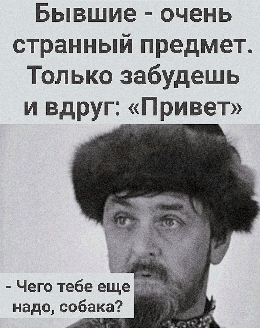 Что тебе еще надо собака. Бывшие очень странный предмет. Бывшие очень странный предмет только забудешь и вдруг привет. Что тебе ещё надо собака. Чего тебе надо собака.