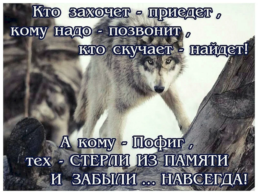 Позвонить надо туда. Кому нужна,тот найдёт и позвонит цитаты. Картинка кому нужна позвонит и найдёт. Статусы кому надо. Людям пофиг на тебя цитаты.