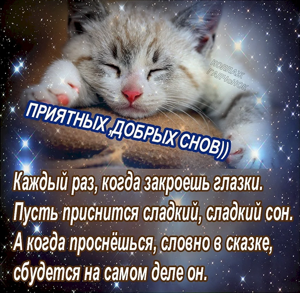 Пусть твой сон будет сладким. Спокойной ночи сладких снов стихи. Спокойной ночи тебе и сладких снов. Спокойных снов стихи. Добрых снов стихи.