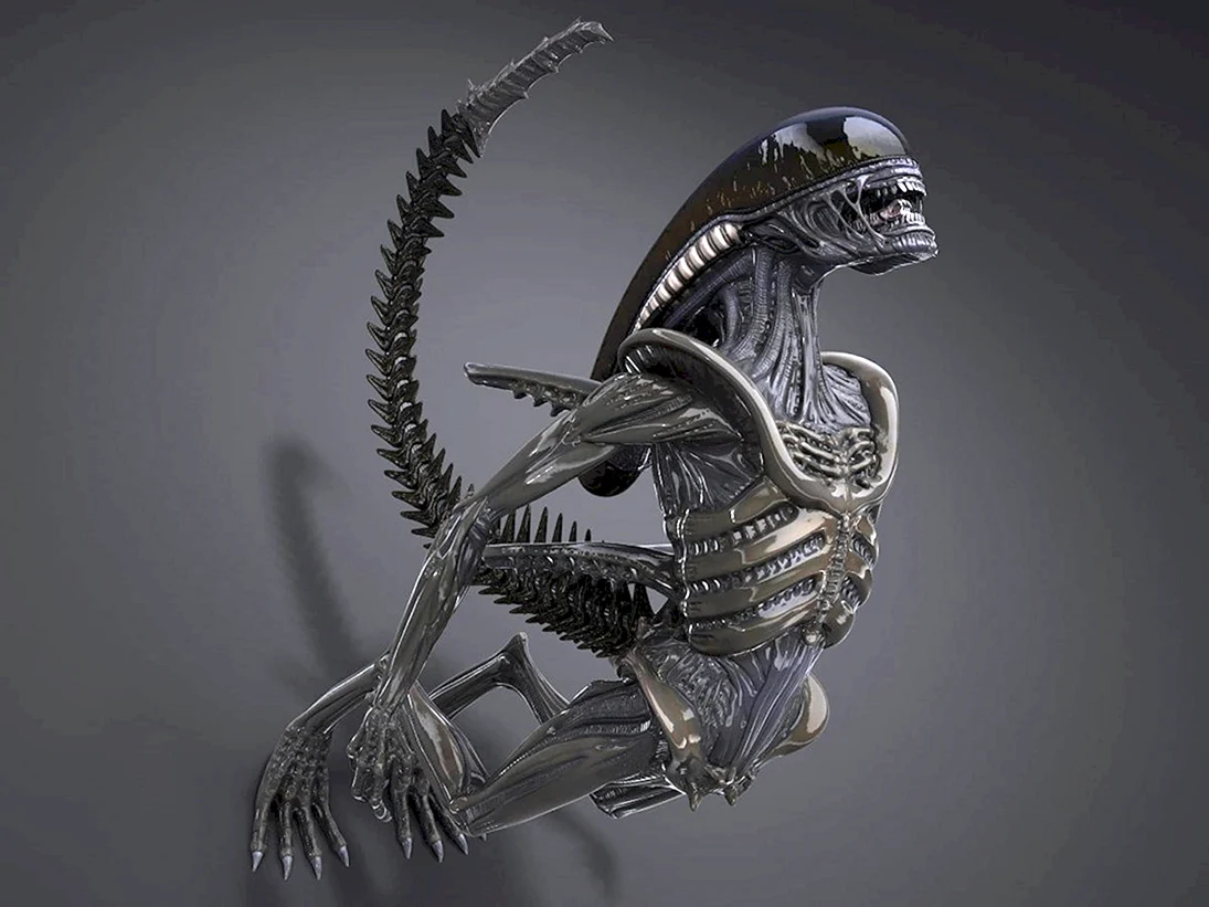 Alien Xenomorph 3d model