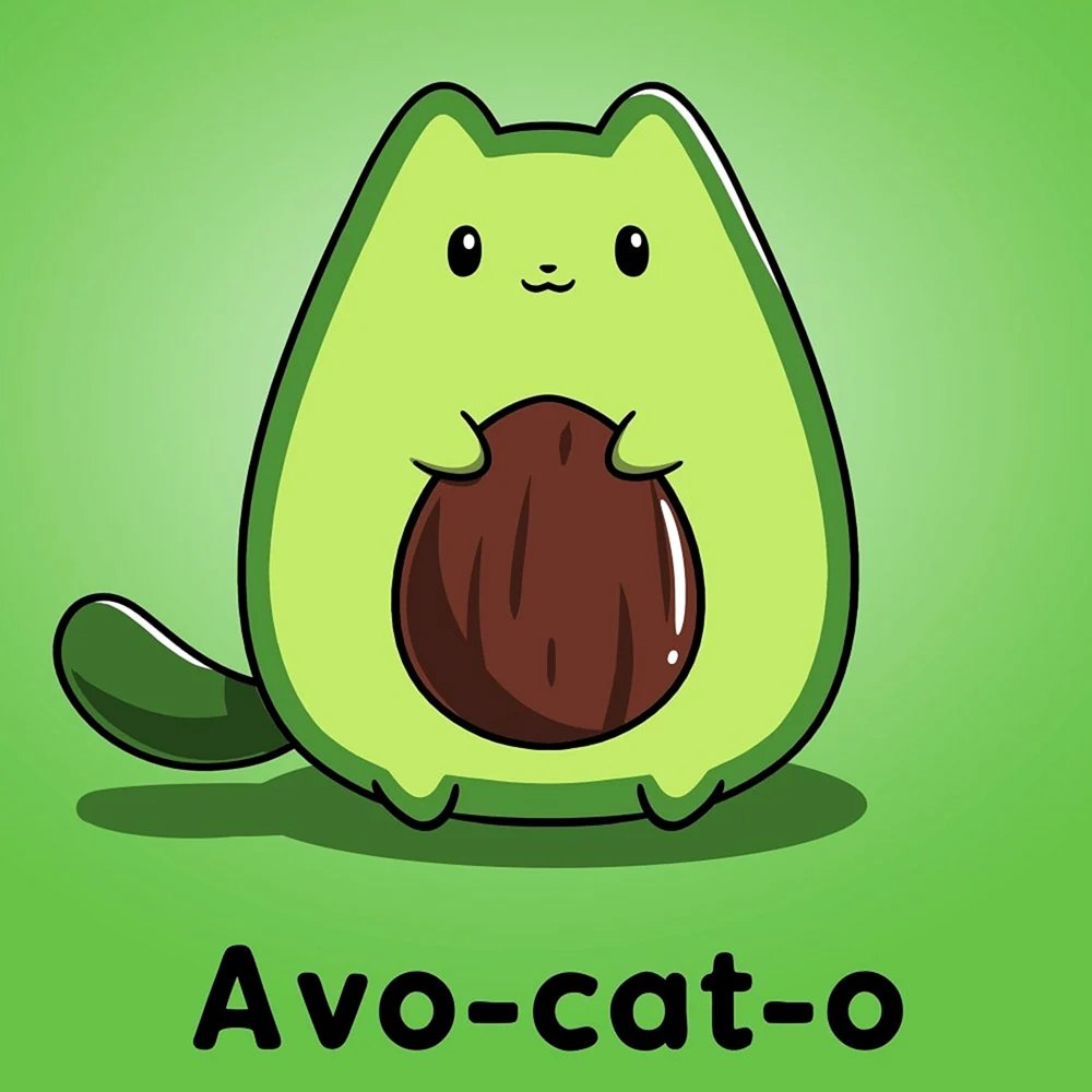 Авокадо кот