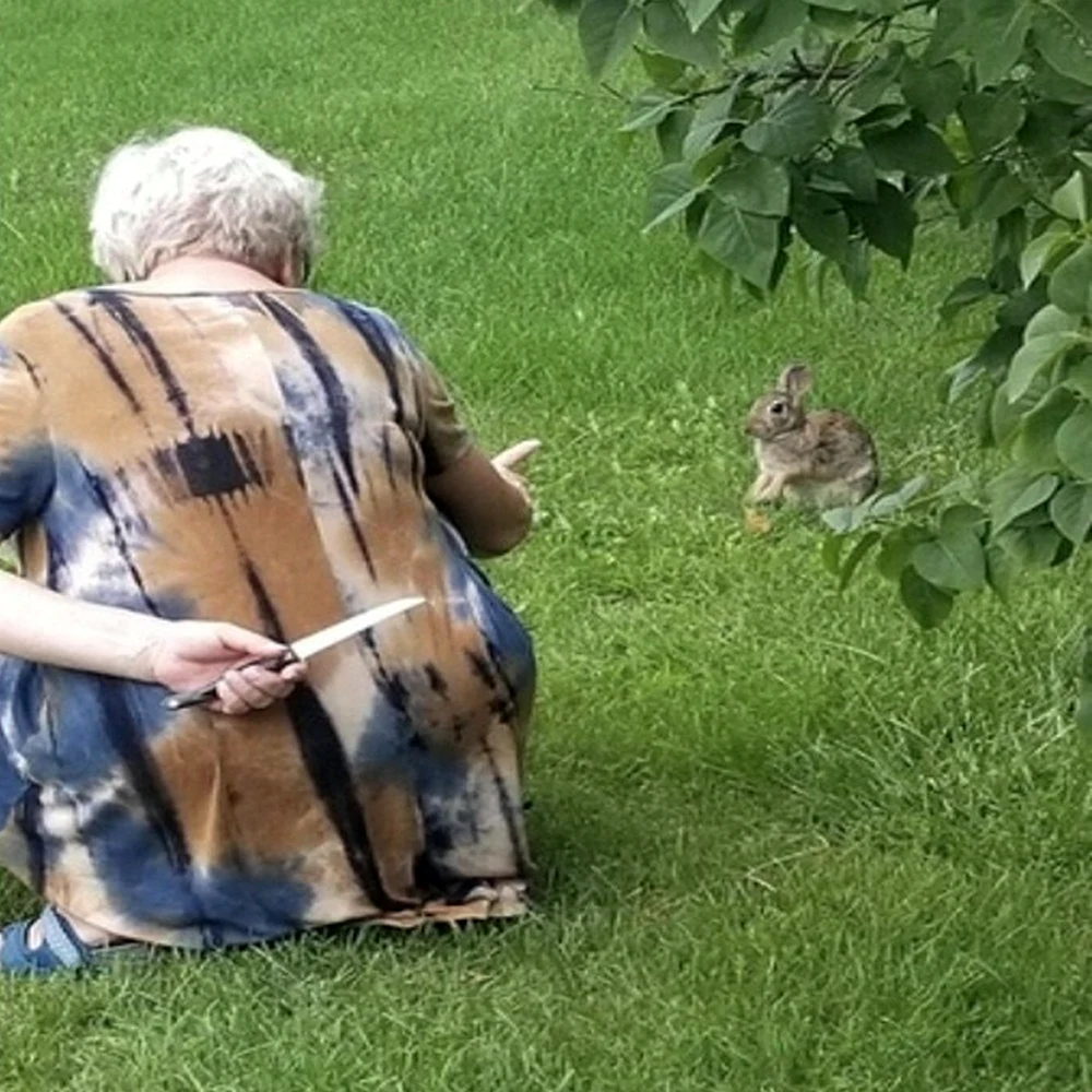 Бабушка с ножом и кролик Мем
