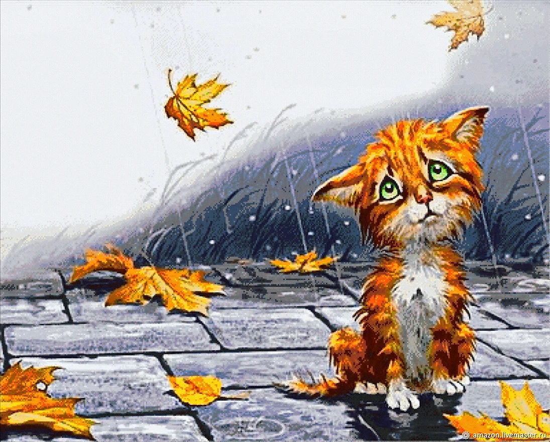 Бездомный кот под дождем