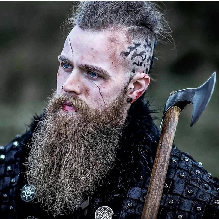 Борода викинга Хальфдан