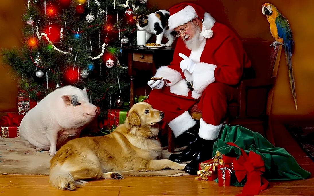Дед Мороз с животными