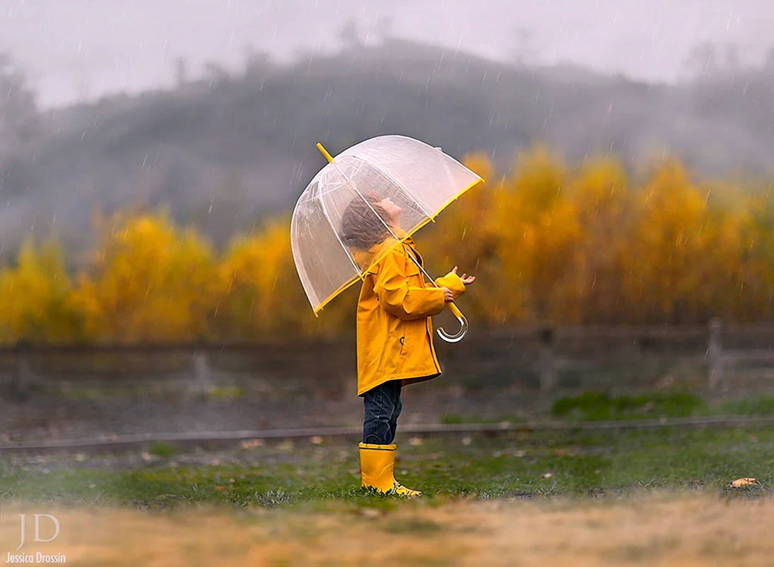 Дети под осенним дождем