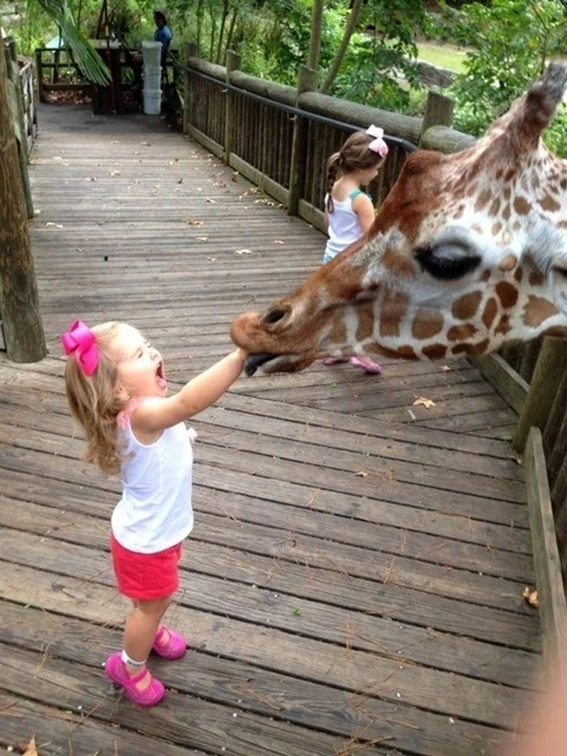 Девочка в зоопарке