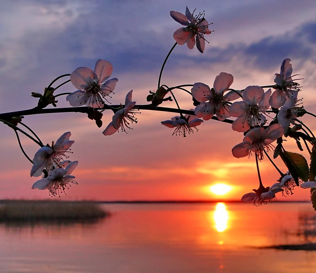 Добрый вечер природа Весна