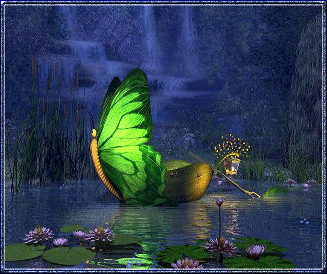 Добрый вечер с бабочками
