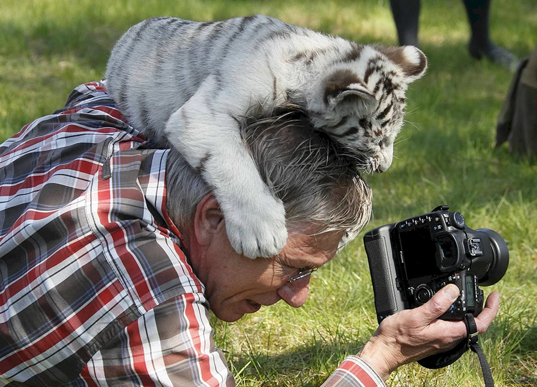 Фотографирование животных