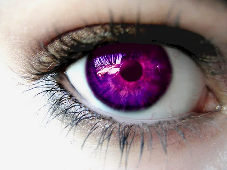 Генезис Александрии фиолетовые глаза