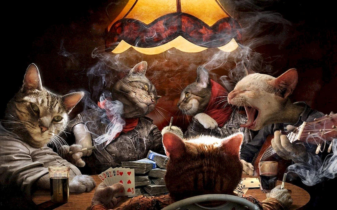 Кошки играющие в Покер