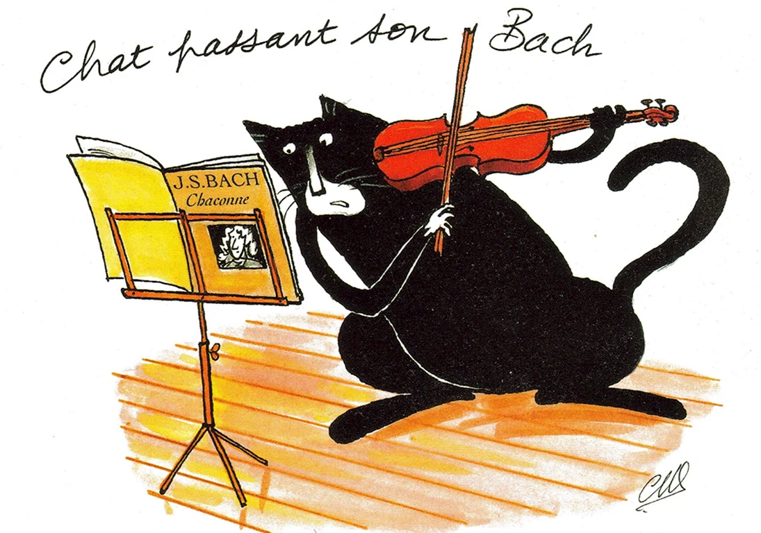 Кот и скрипка
