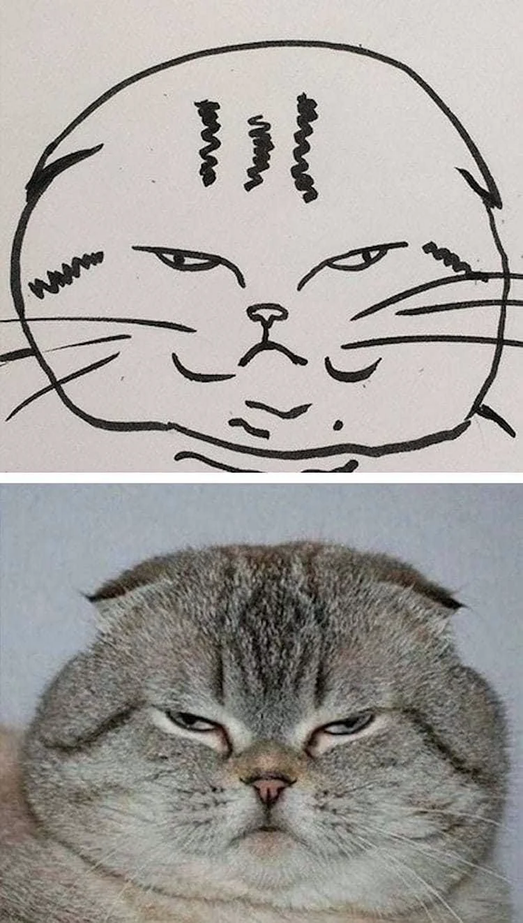 Котики которые нарисованные