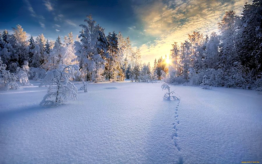 Красивые снимки зимы