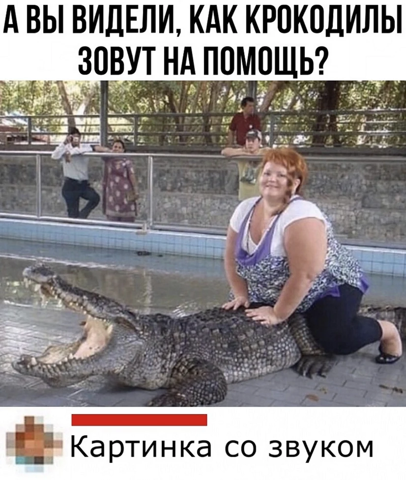 Крокодил и толстая баба
