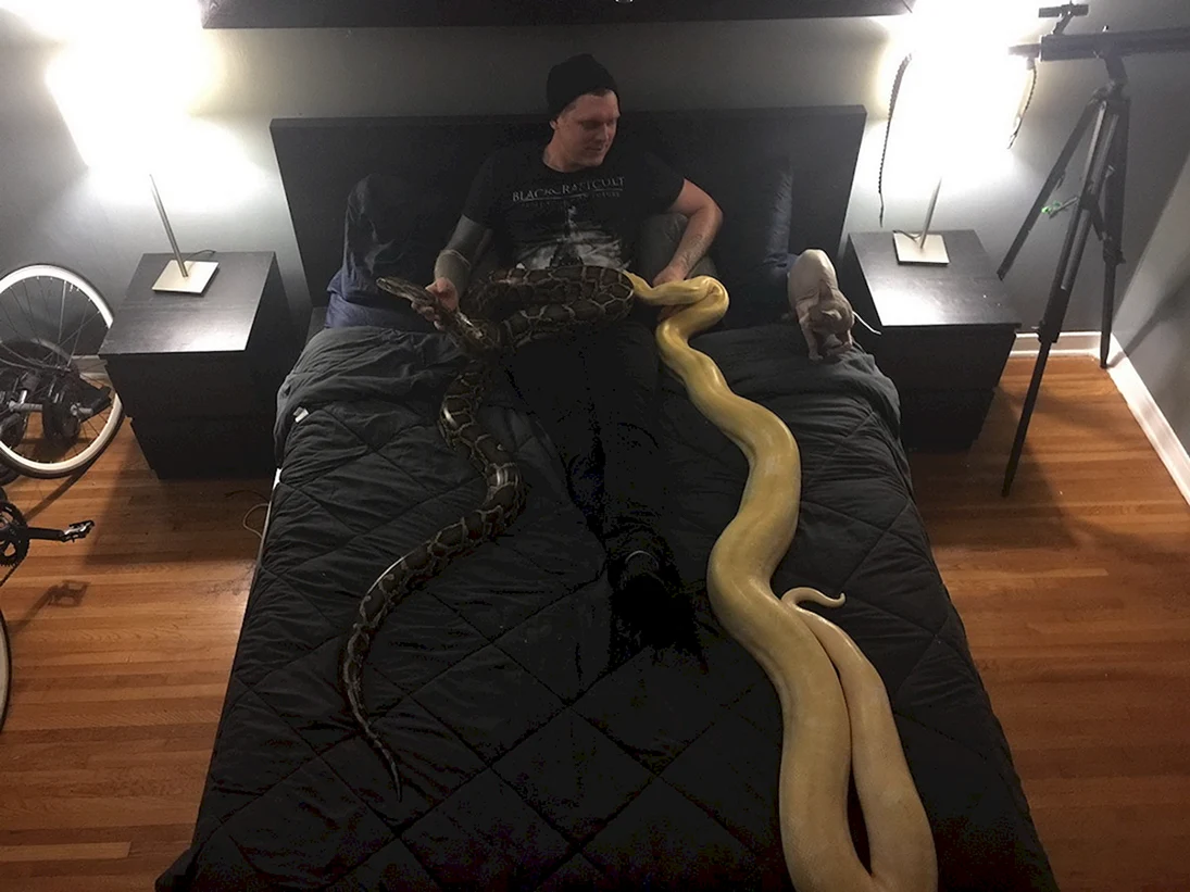 Кровать со змеями