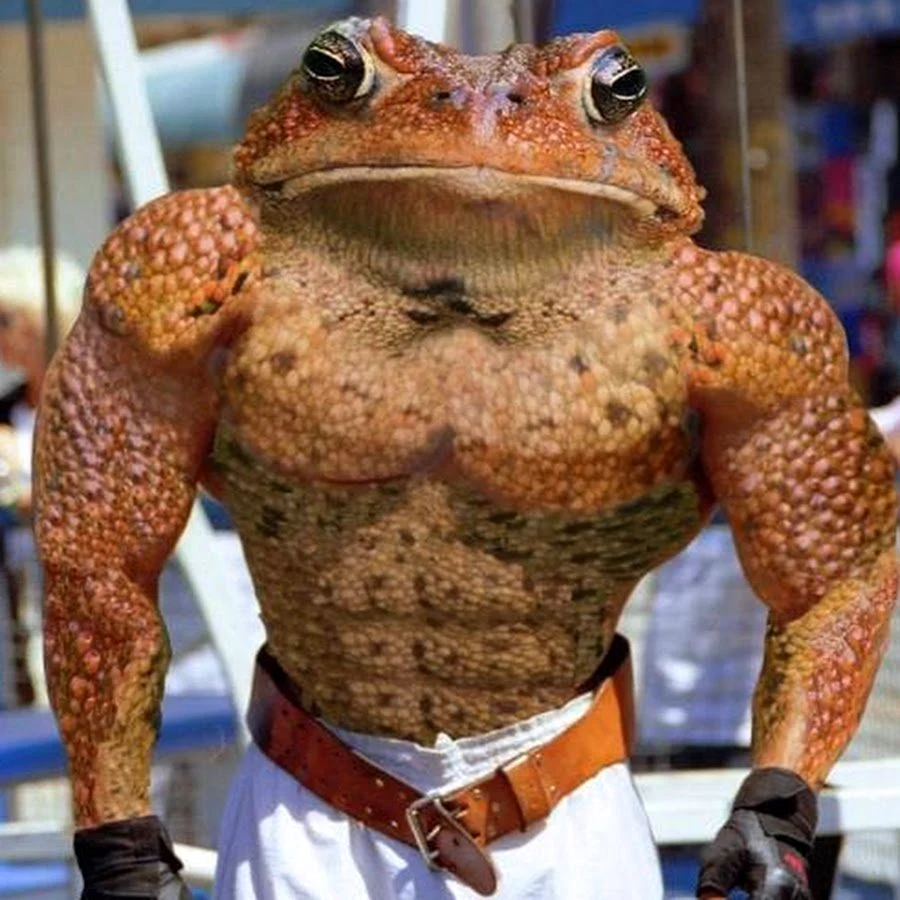 Крутая жаба