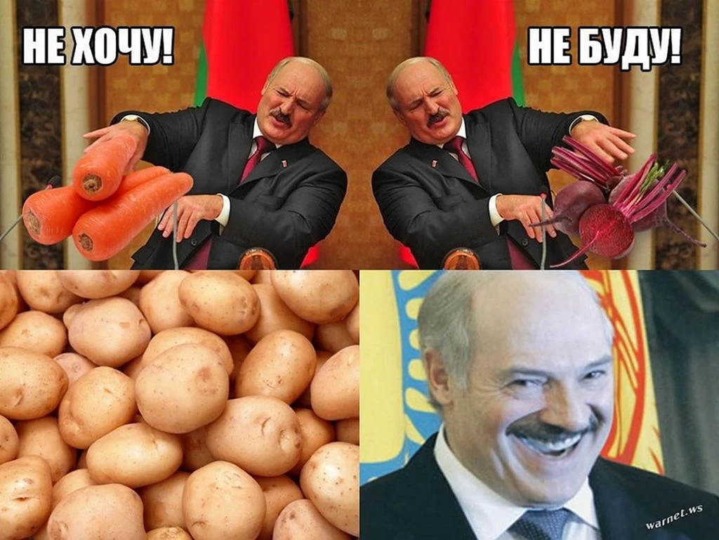 Лукашенко мемы про картошку