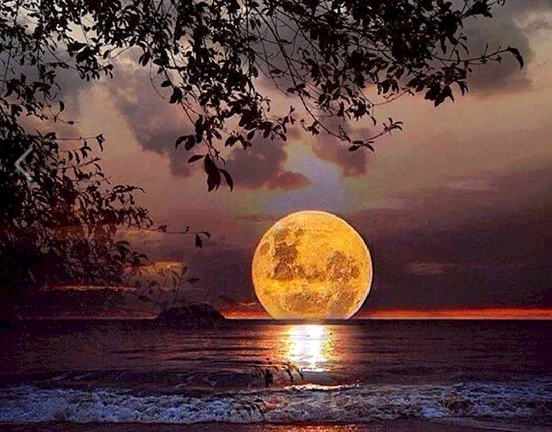 Лунная летняя ночь
