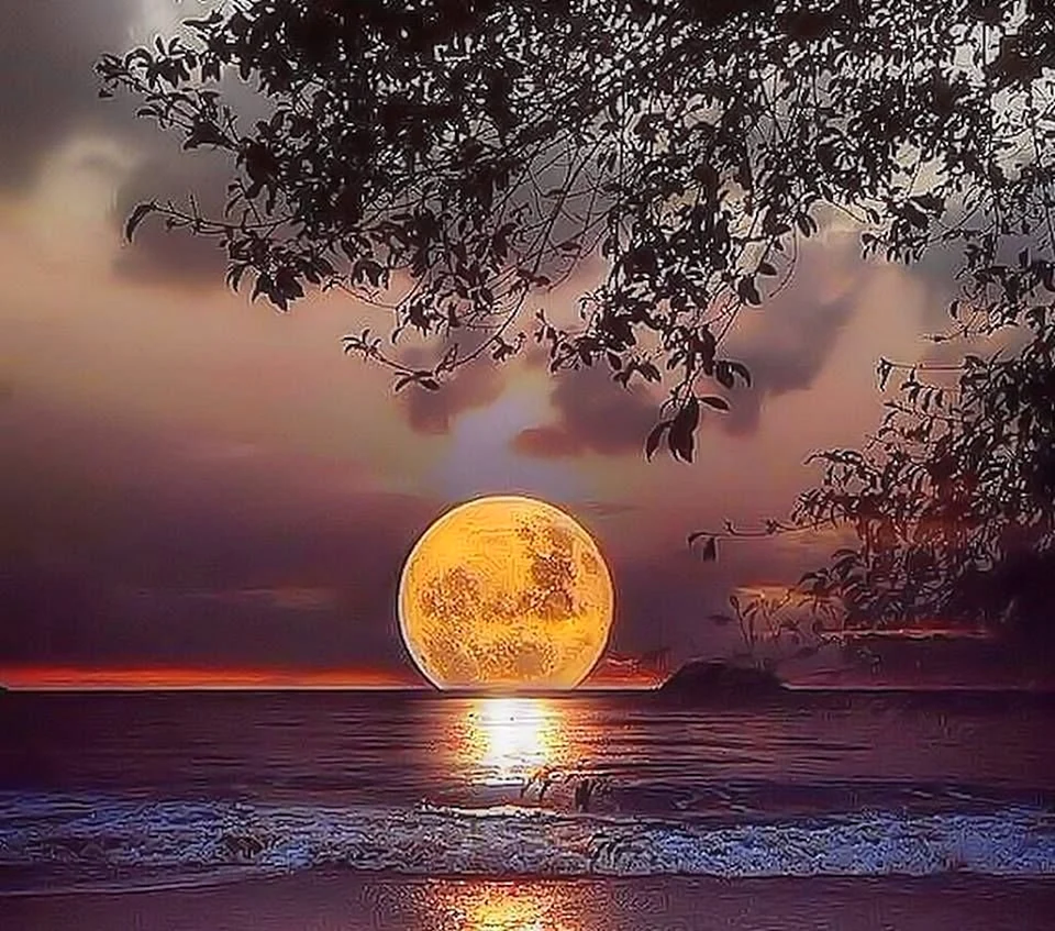 Лунный закат