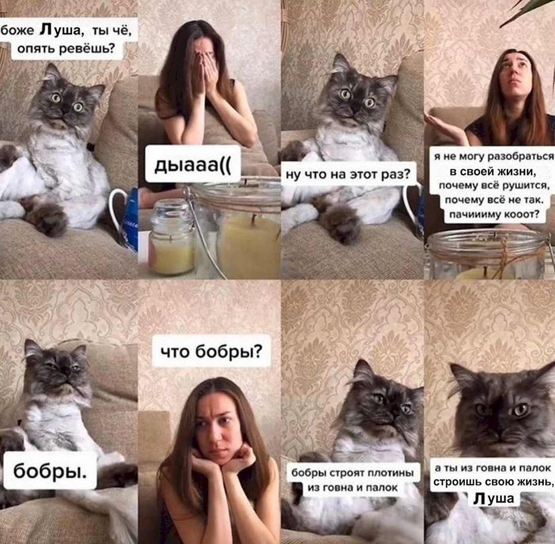 Мемы с котиками про отношения смешные