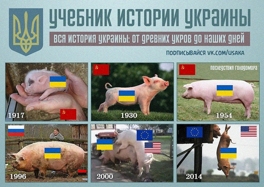 Мемы с украинскими свиньями