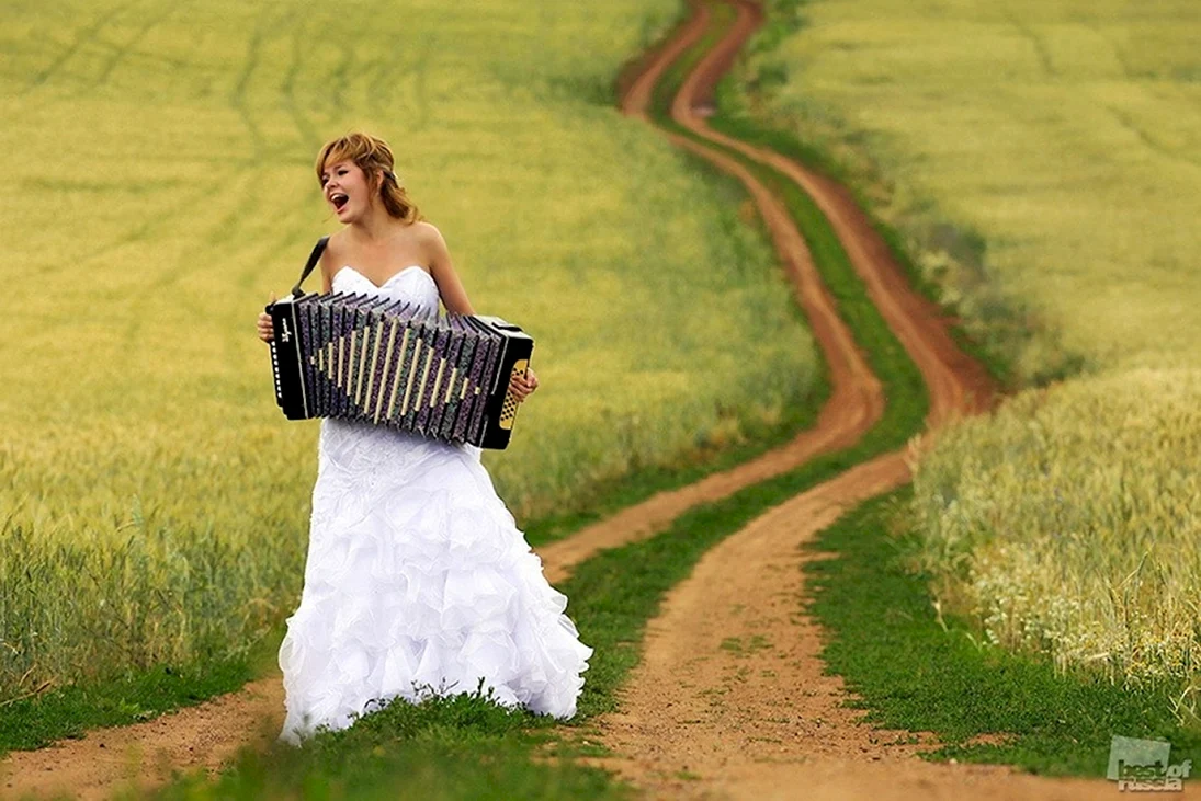 Невеста с баяном в поле