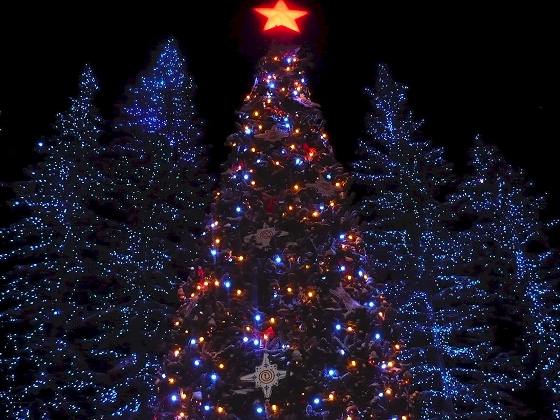 Новогодняя елка Новосибирск
