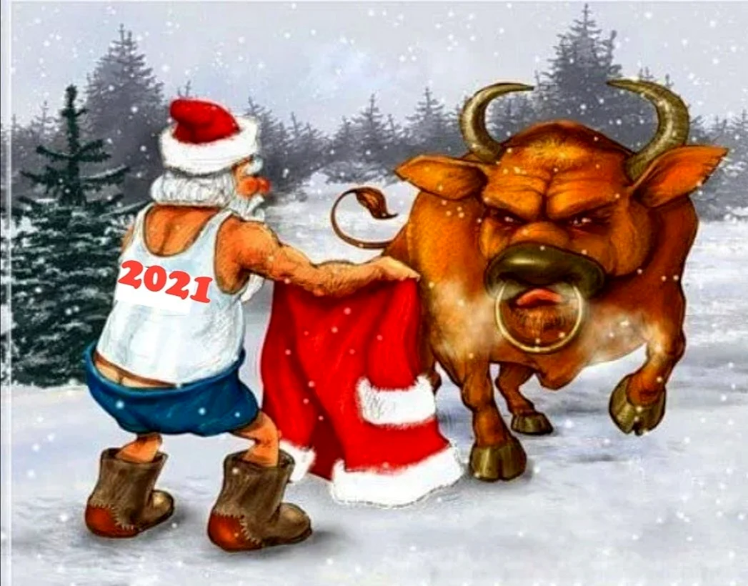 Новый год быка