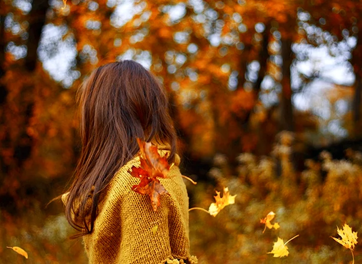 Осень девушка со спины