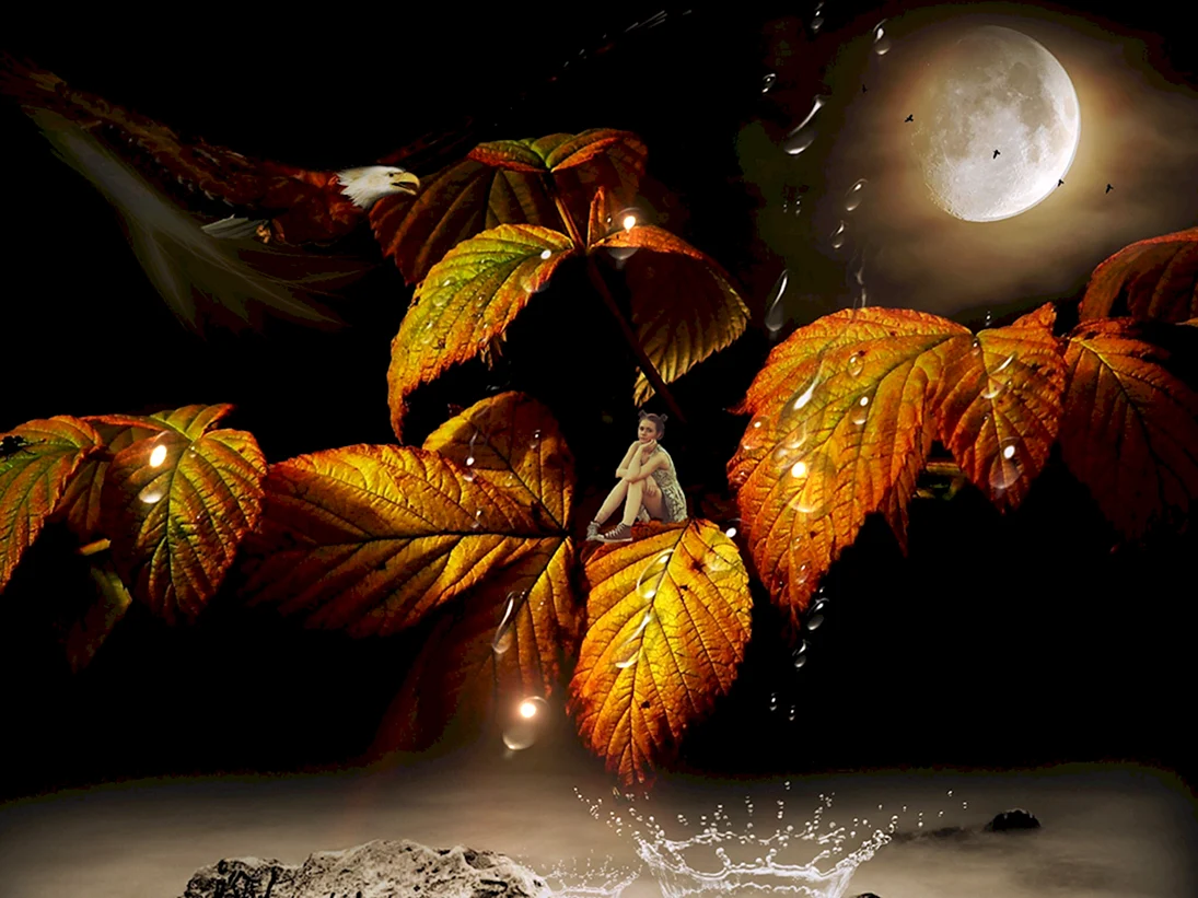 Осенняя ночь