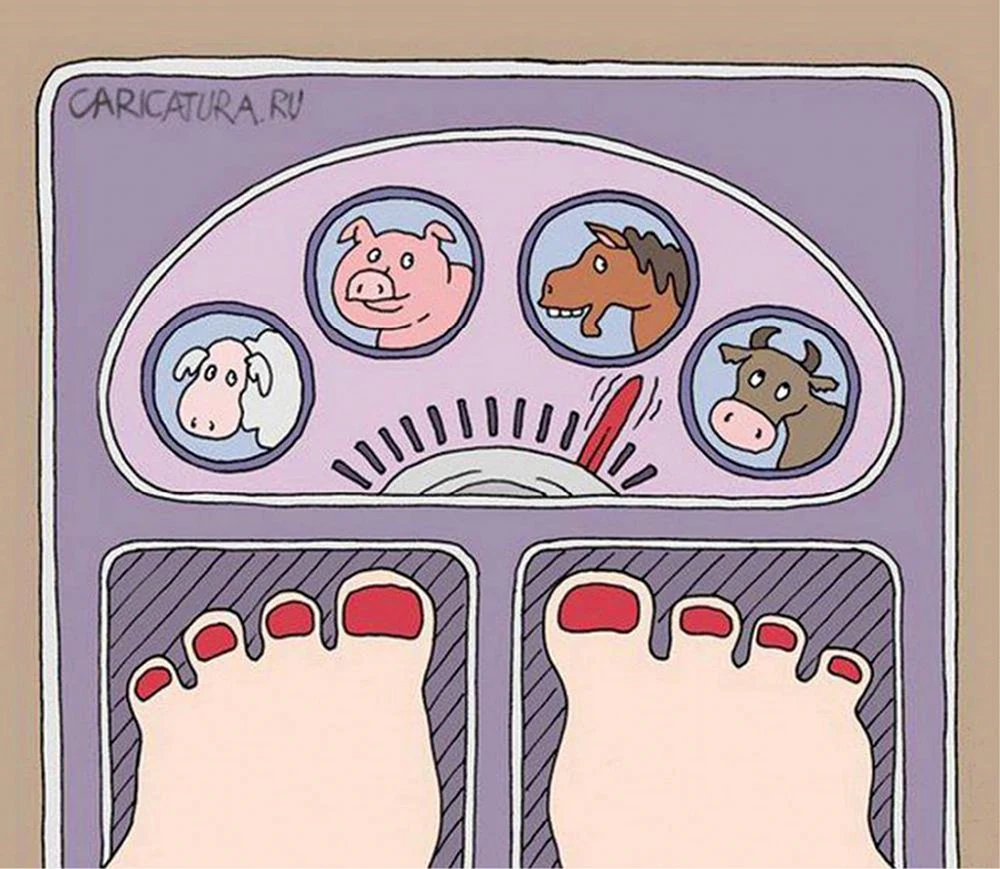 Приколы про вес