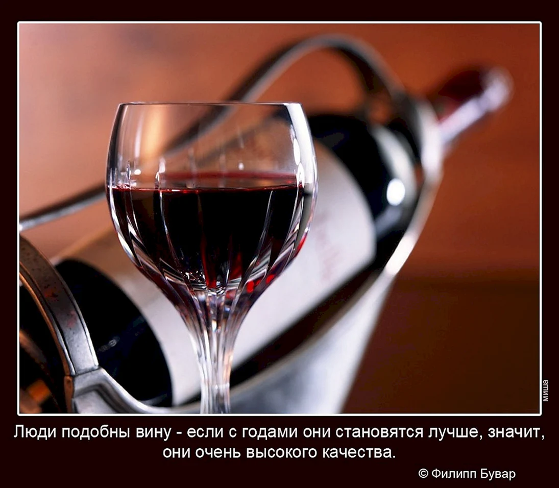 Приколы про вино