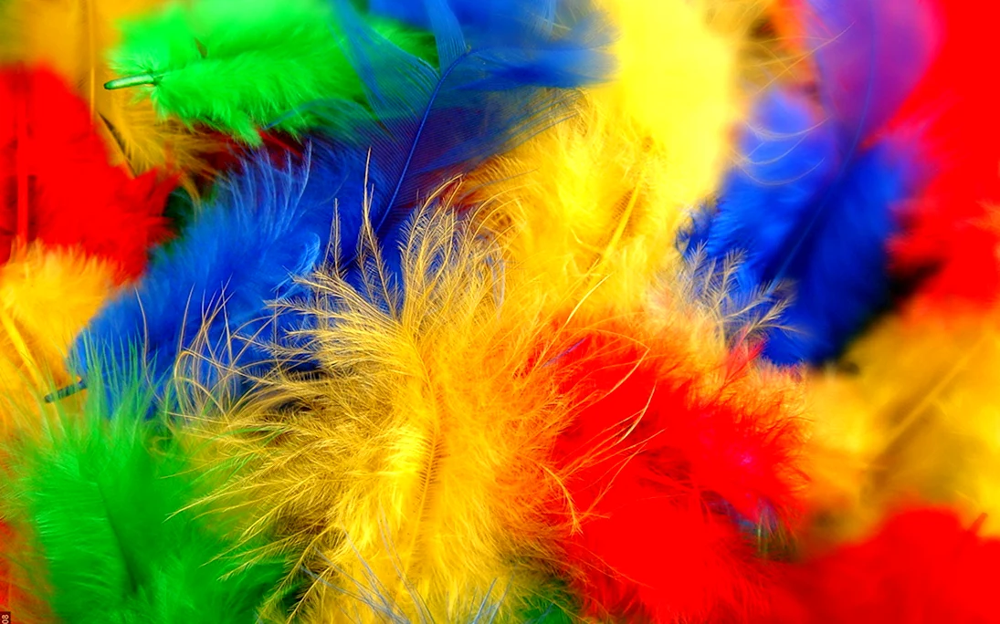 Разноцветные перья