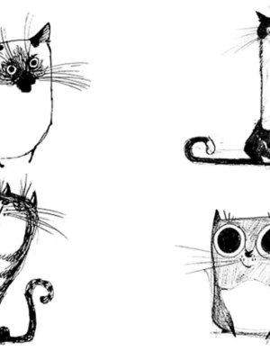 Рисунки котов смешные для срисовки