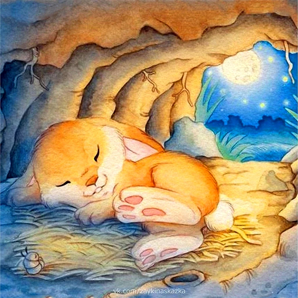 Сладких снов кролик